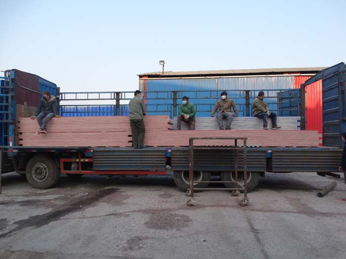 新河2.JPG